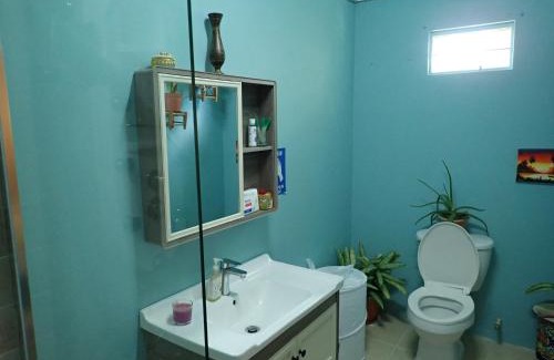 Castries Apartment | Urban Oasis Apartment