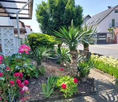 Dielheim Apartment | urige gemütliche Ferienwohnung 64 m2 in Dielheim, Nähe Heidelberg