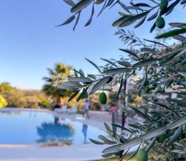 Iskele Mahallesi Villa | Urla Villa