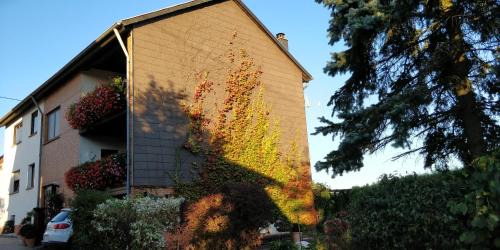 Urexweiler Apartment | Ursula's Ferienwohnung