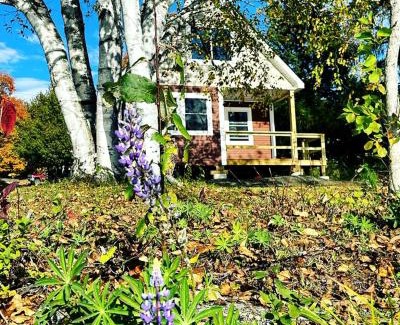 Portage Lake House | Magnificent Cabin Nestled Amidst Trees in Portage Lake, Maine