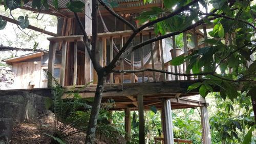 Chicanutz Hotel | Utopia Eco Hotel