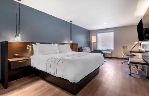 River North Art District Hotel | Vīb Hotel by Best Western Denver RiNo