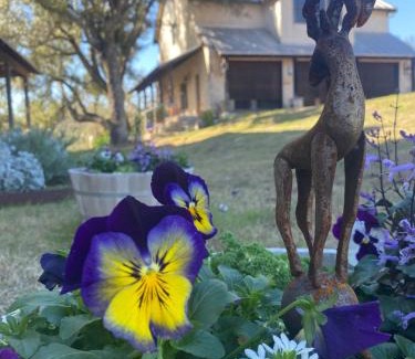 Marble Falls Villa | V700 Ranch Stays (Guesthouse)-A Tucked Away Gem
