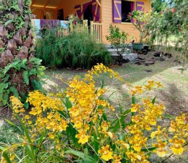 Malendure House | Vacances Bien Etre Guadeloupe