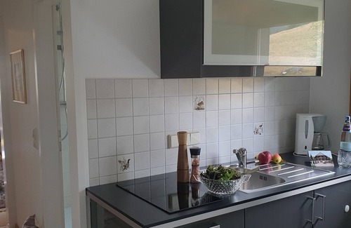 Barental Apartment | Vacation apartment/apartment for 3 guests with 38m² in Feldberg (Black Forest) (266171)