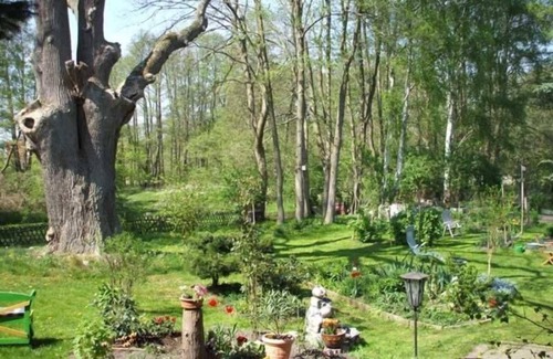 Muhl Rosin Apartment | Vacation apartment 2 - Holiday apartment Am Mühlbach