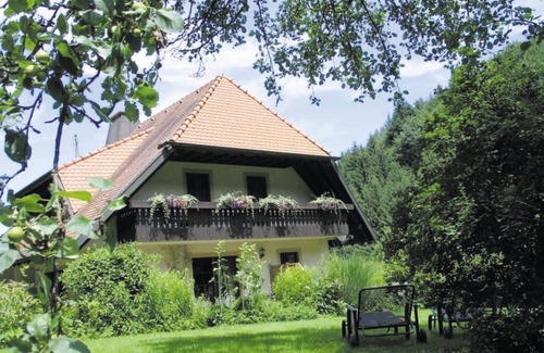 Horben Apartment | Vacation apartment 40sqm flower meadow - Haus Brigitte - Hintere Mühle