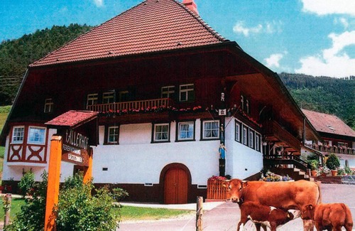 Elzach Apartment | Vacation apartment, 75sqm, 3 bedrooms, max. 6 persons