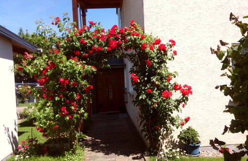 Beverungen Apartment | Vacation apartment/apartment for 5 guests with 62m² in Beverungen (143186)