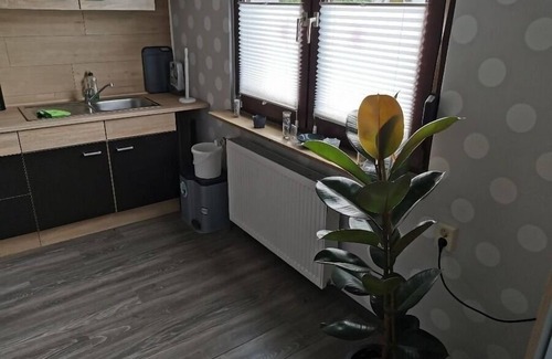 Diemelsee Apartment | Vacation apartment/apartment for 3 guests with 56m² in Diemelsee (184284)
