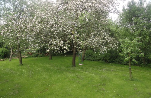 Goosefeld Apartment | Vacation apartment/apartment for 4 guests with 60m² in Goosefeld (2569)