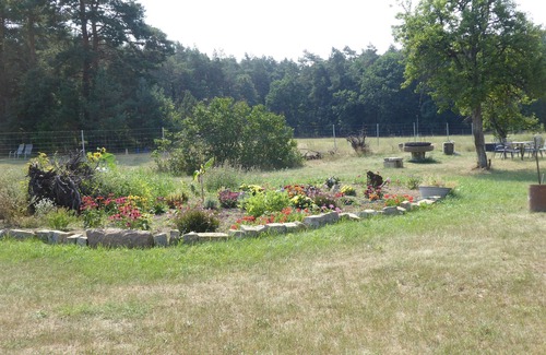 Eggesin Apartment | Vacation apartment/apartment for 3 guests with 45m² in Eggesin (247861)