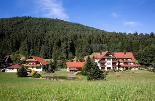 Tonbach Apartment | Vacation apartment type C 40, 45sqm, 1 living room/bedroom, max. 2 persons