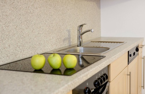 Helmbrechts Apartment | Vacation apartment with living and kitchen area