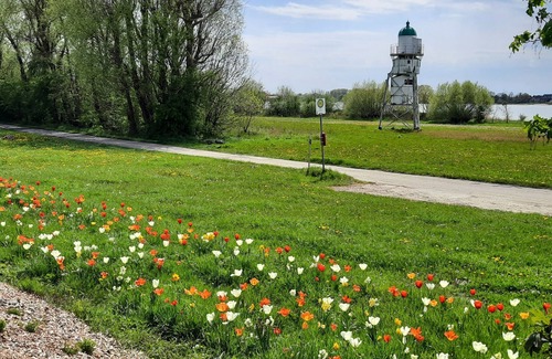 Schwanewede Apartment | Vacation apartment/apartment for 4 guests with 70m² in Schwanewede (133564)