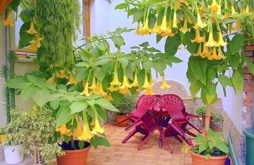 Ilversgehofen Apartment | Vacation apartment Ilvers - Holiday apartment Ilvers EG