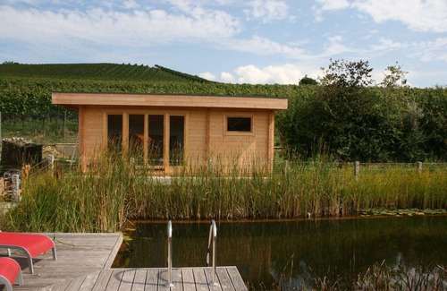 Mauchen Apartment | Vacation at the winery