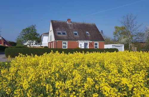 Bannesdorf Apartment | Vacation apartment/apartment for 4 guests with 55m² in Fehmarn OT Bannesdorf (117776)
