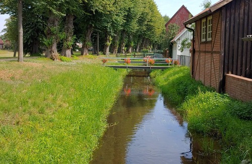 Boizenburg House | Vacation home for 6 guests with 123m² in Boizenburg/Elbe (148779)