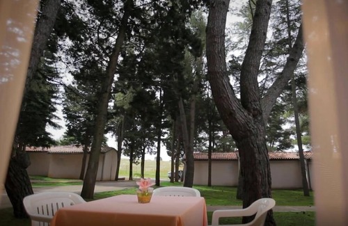 Basanija Apartment | Vacation resort Savudrija Bungalow with seaview 2TMG incl. half board for 3 persons