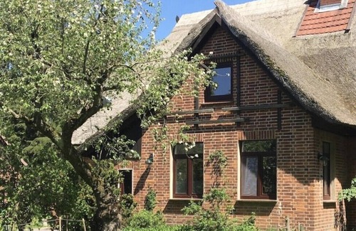 Kogel Apartment | Vacation under thatched - Forsthaus Kölzin near Zarrentin - Apartment Amor's Ruh