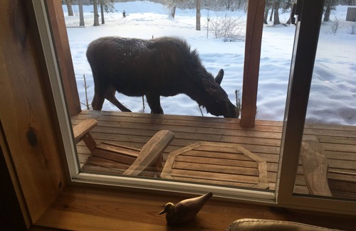 Meadow Lakes House | Vacationer's Dream! Luxury Vacation Home! Wasilla, Alaska !