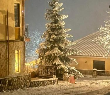 Elatochori Hotel | Vaela Hotel Cultural Resort