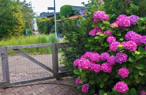 Limmen House | Vakantiebungalow Limmen