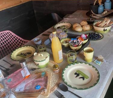 Enschede House | Vakantiehuis Klaartje Kip voor 4 personen, landelijk gelegen!