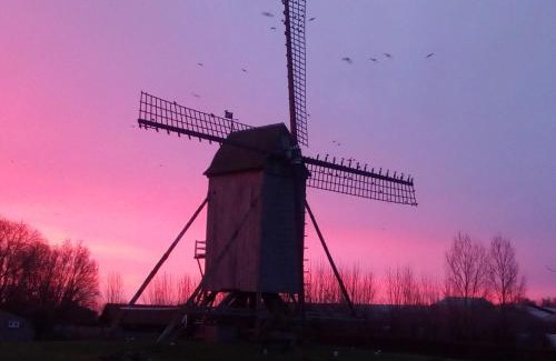 Leisele House | Vakantiehuis Louiselotte