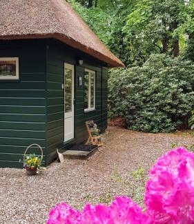 Epe House | Vakantiehuis 't Musje