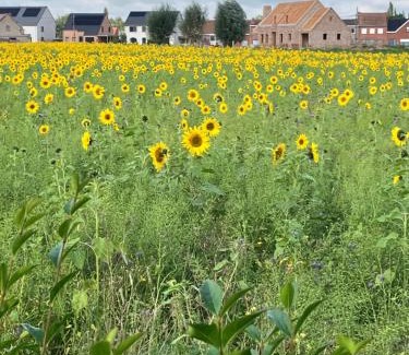 Zonnebeke House | vakantiewoning Het Boomkwekerijhuis