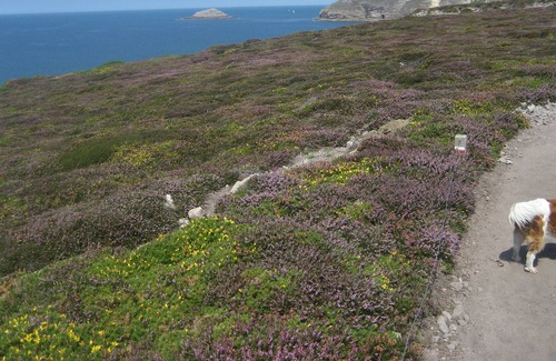 Pleneuf-Val-Andre Cottage | VAL-OCEAN, new independent rental, r. d.c, in PLENEUF-VAL-ANDRE.