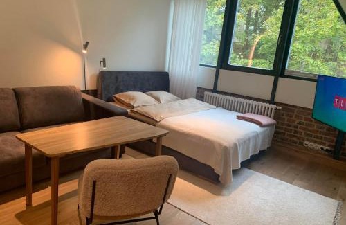 Old Town Apartment | Vallikraavi Studio Apartment