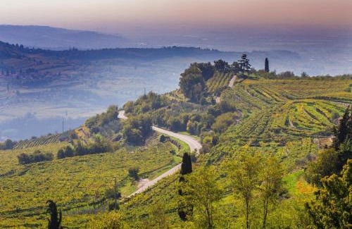Domegliara House | Valpolicella Homes Recioto Apartment