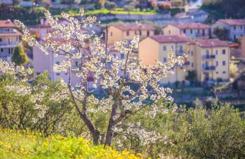 Domegliara House | Valpolicella Homes Recioto Apartment