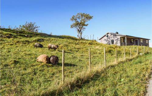 Flora Municipality House | Valvik
