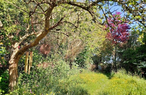 St Austell House | Vegan Homestay and Retreat