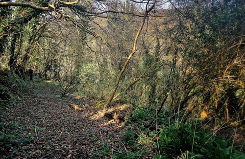 St Austell House | Vegan Homestay and Retreat