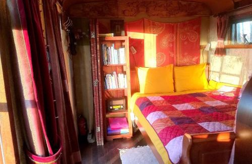 Coevorden House | Vegawagen Psyche, een sprookje in Coevorden