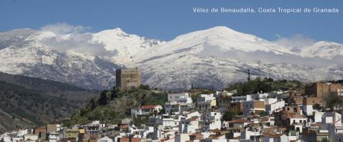 Velez de Benaudalla Apartment | Velez Nazari