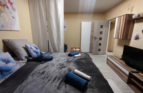Banska Bystrica Apartment | Veludo Apartments Centrum free parking