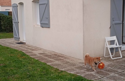 Saint-Vincent-sur-Jard House | Vendée Pays de Loire 400m from the beach Bicycles available. France