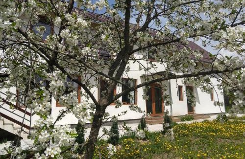 Lemnia House | Vendel Guesthouse