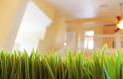 Ventura House | Ventura Cove Holiday Home