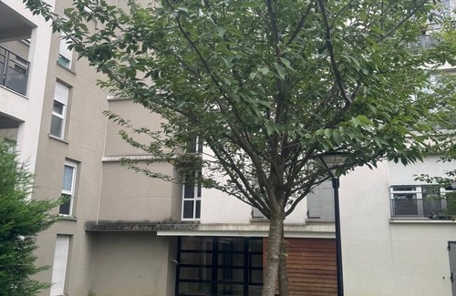 Arnouville Apartment | Very nice equipped apartment near Paris