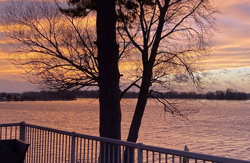Selwyn House | Very private Lakehouse rental