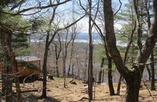 Golden Lake Cabin | Very Private, Secluded, Wildlife, No Neighbors!