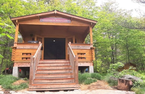 Golden Lake Cabin | Very Private, Secluded, Wildlife, No Neighbors!